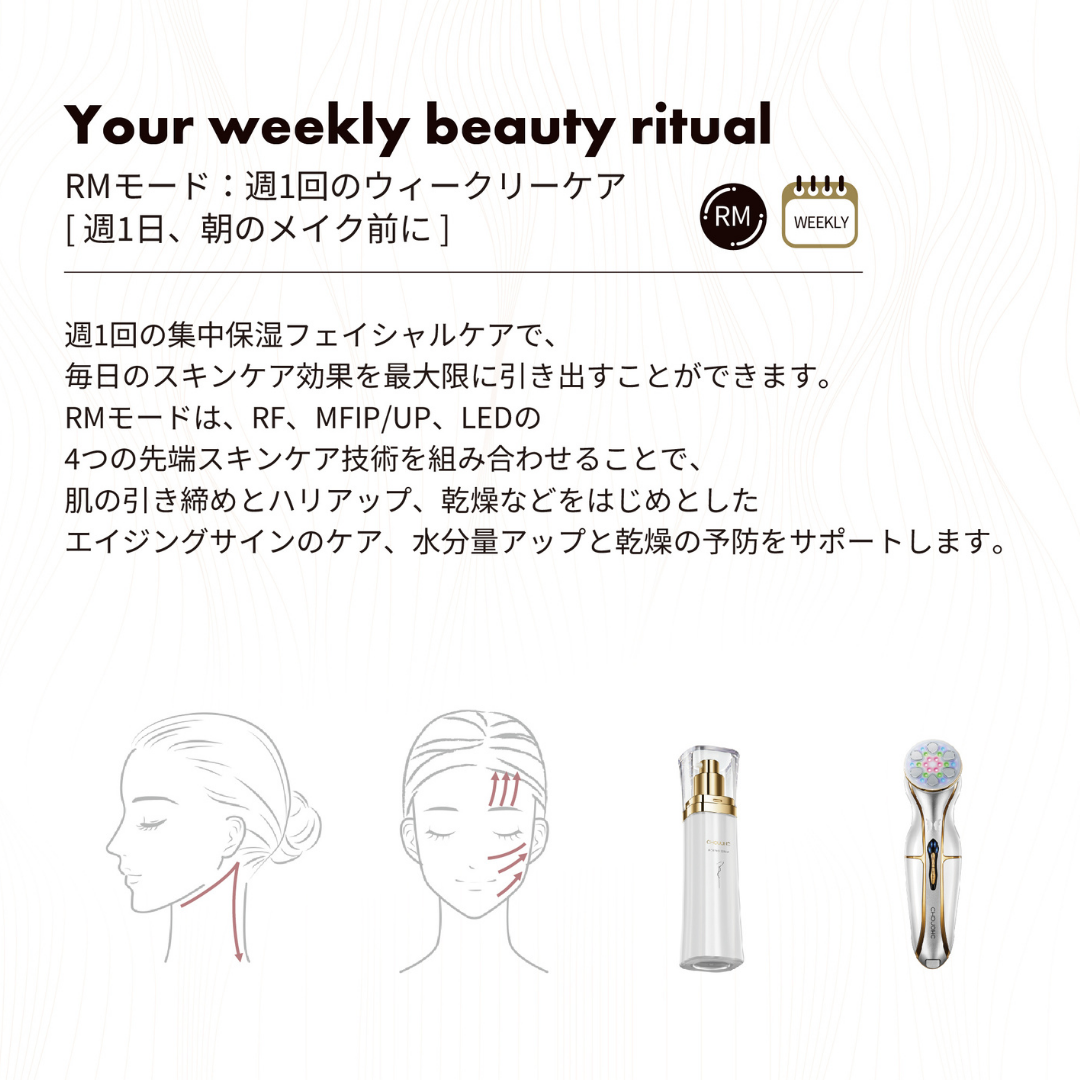 ザ・モルフォ（バニティバッグ付き）